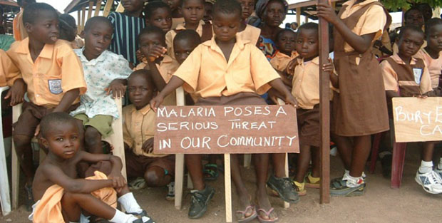 令你深恶痛绝的蚊子，也不过是病毒的傀儡