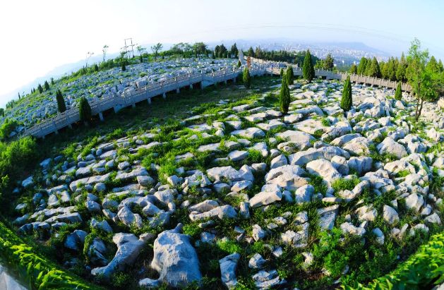博山区年审,博山年审