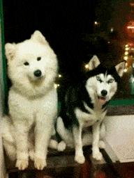 大叔刷百万礼物,大叔刷100万见网红