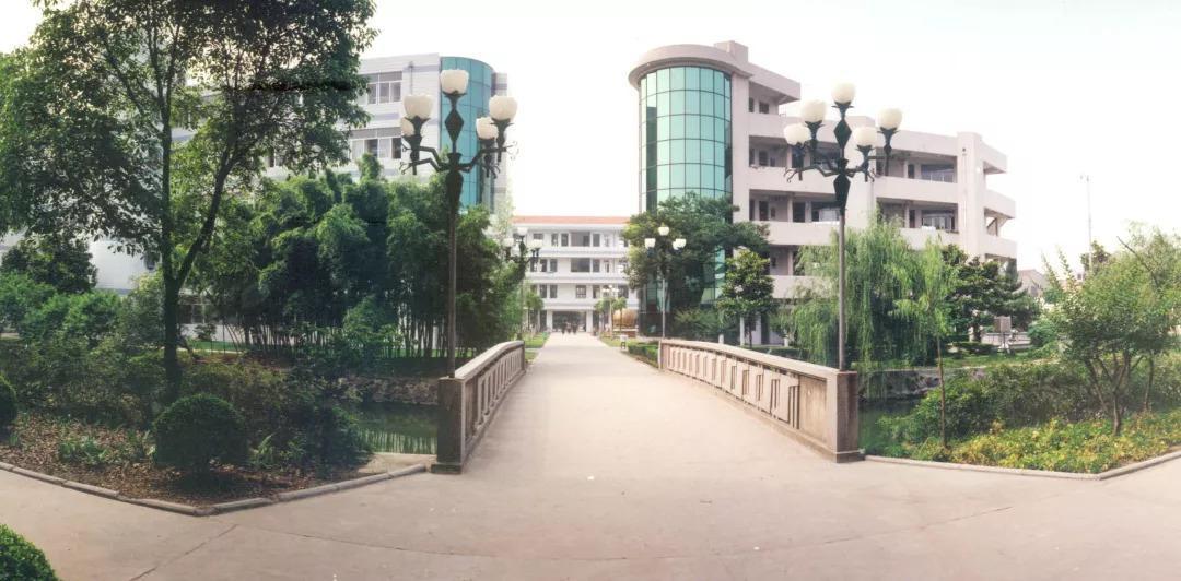 这里是天一中学老校区,如今美出了另一番境界