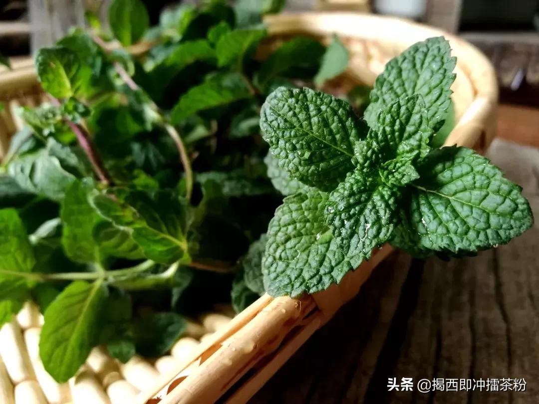 被蚊子咬了可以涂丁酸氢化可的松,被蚊子咬了但什么都没带