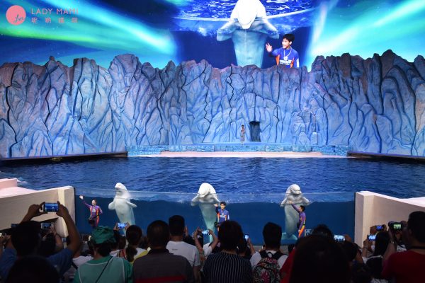2022珠海长隆海洋王国旅游攻略,游客带你玩珠海长隆海洋王国