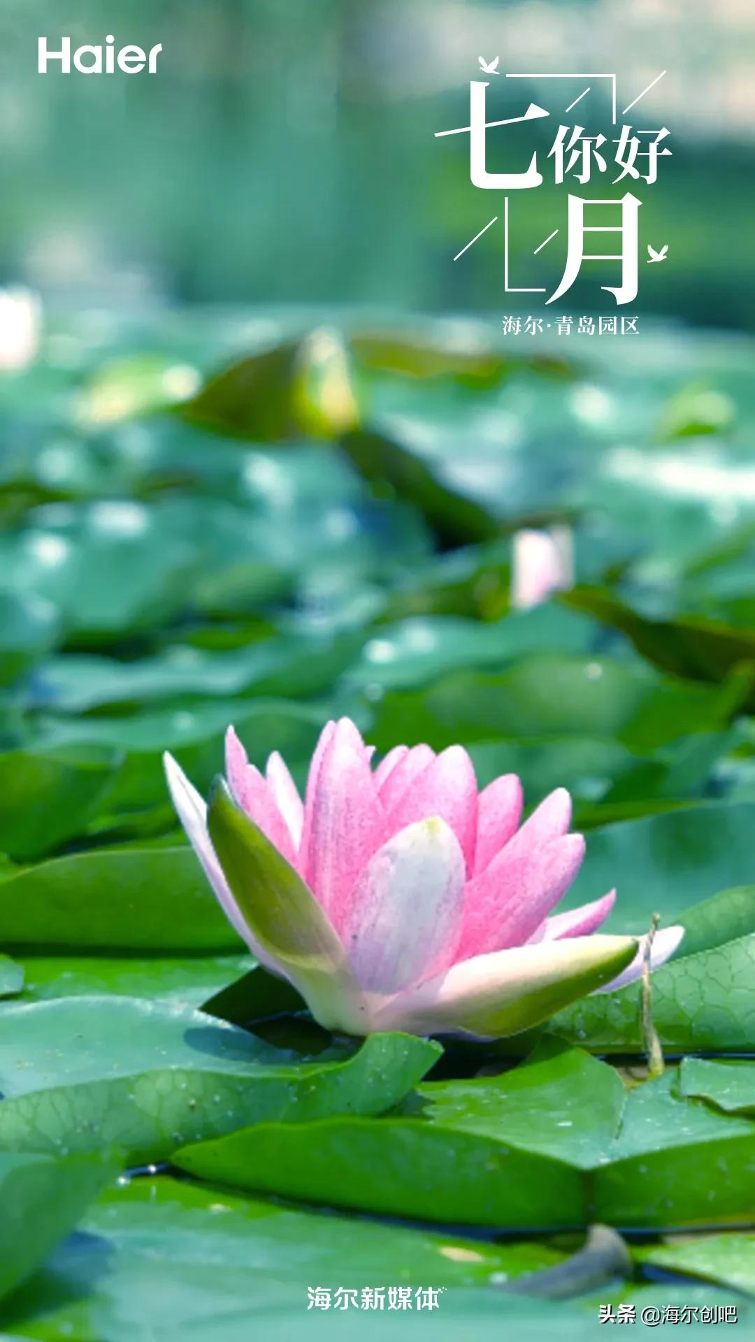 你好七月歌曲完整版,你好七月音乐视频