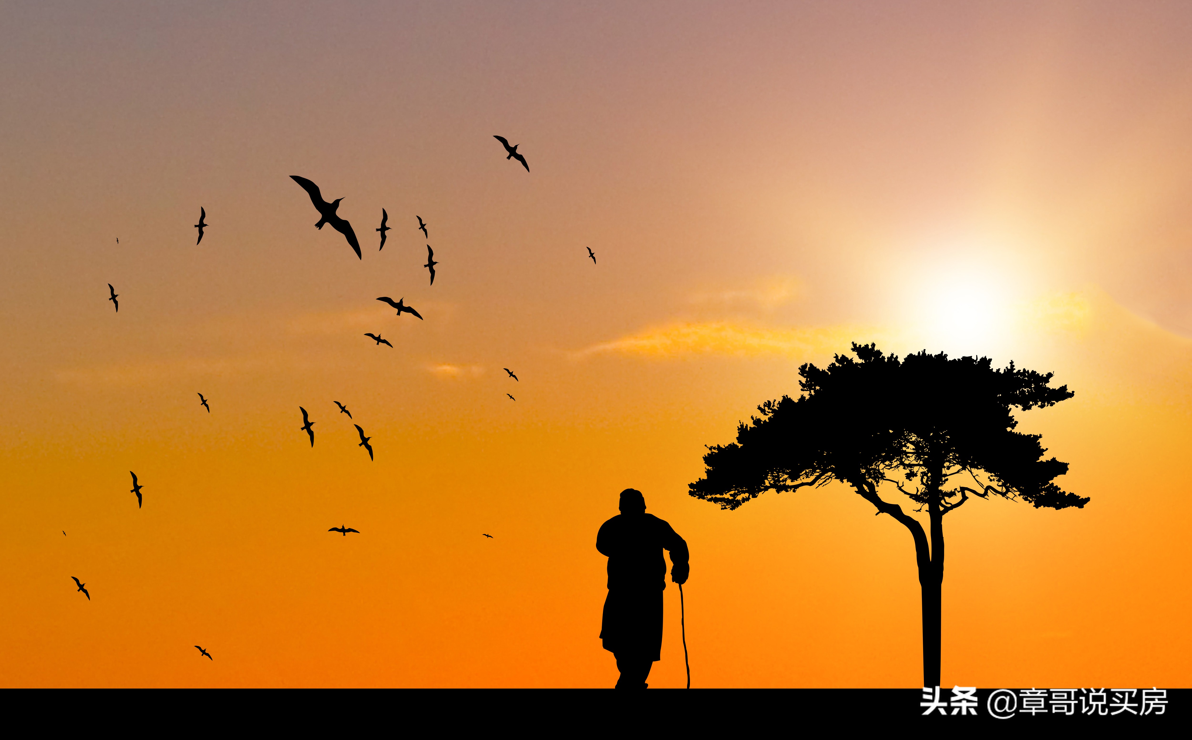 不要把养老看成是一种责任,老了去养老院是明智的选择