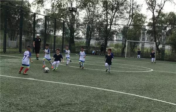 飞扬足球,飞扬足球预测