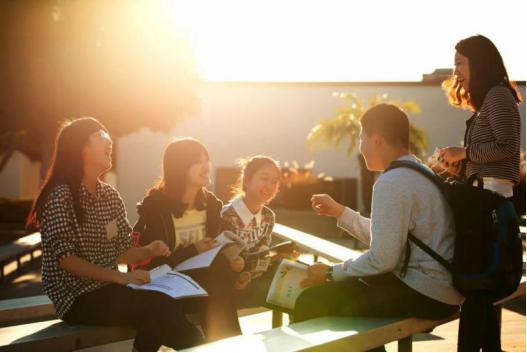 “热门专业”变成“心中梦魇”，大三女生如何绝地自救？