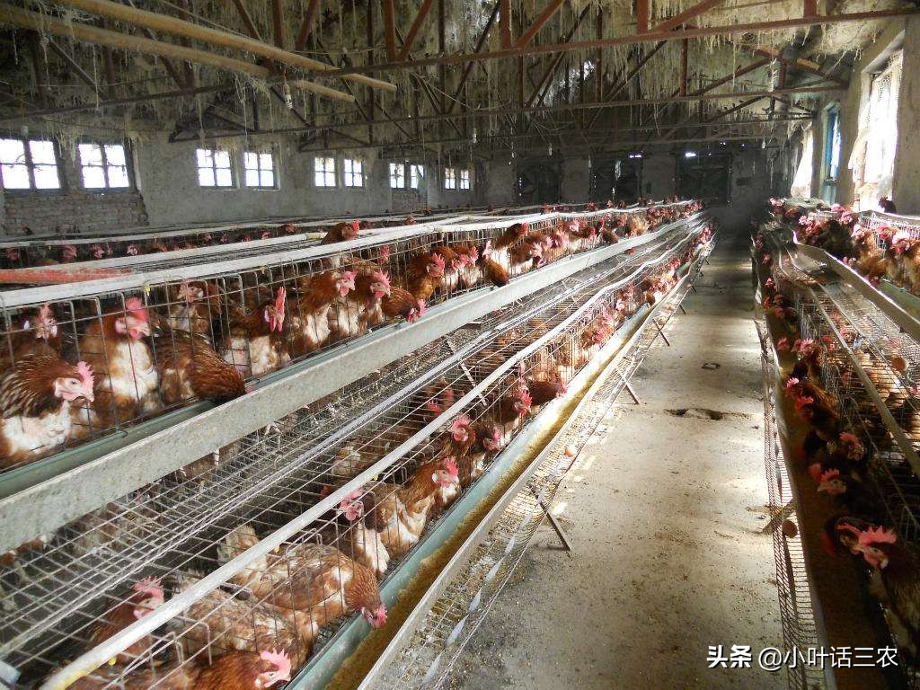 投资扶贫有回报吗,扶贫产业项目大全