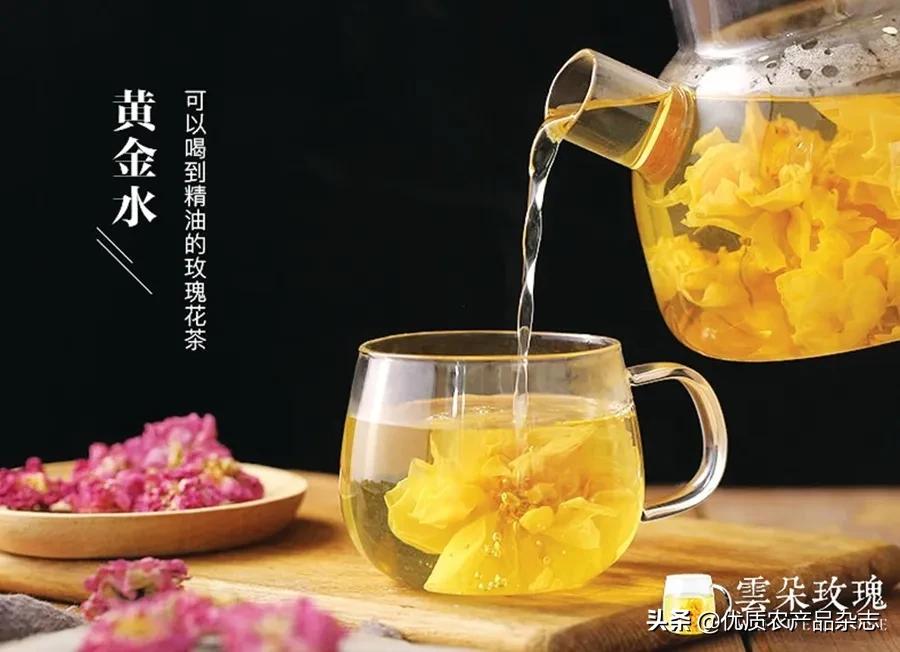 美丽健康、治沙脱贫，打通玫瑰产业链，她的云朵玫瑰开出别样美丽