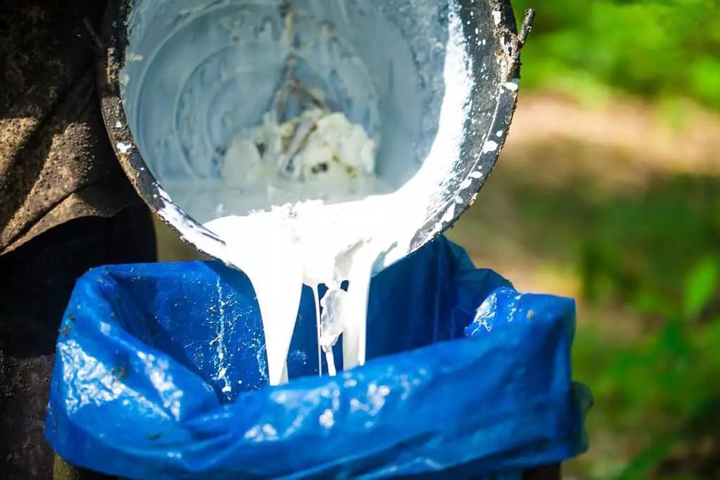 泰国乳胶枕热门视频,泰国正宗乳胶枕头什么牌子最好