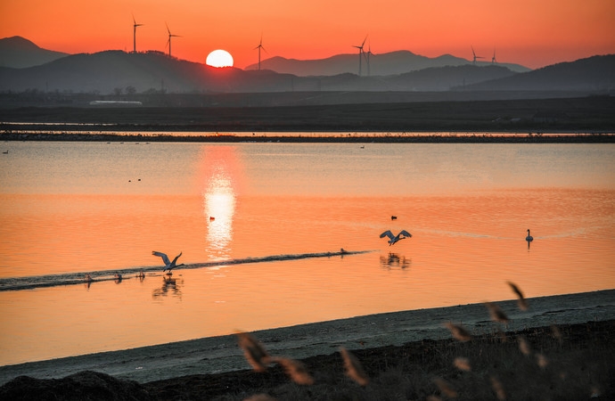 这才是夏天凉爽的地方,七里坪负氧离子全国第一避暑天堂