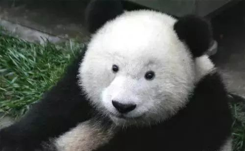 美瞳角膜损伤,美瞳选的不对会导致角膜受损吗