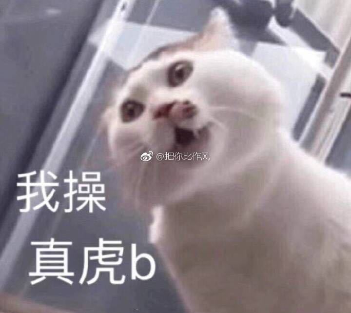 里皮带队1:0胜韩国媒体,国足0-2输给日本李铁接受采访