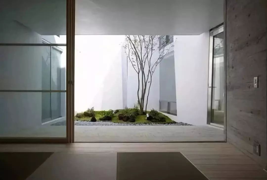 室内做的景观,室内景观打造过程