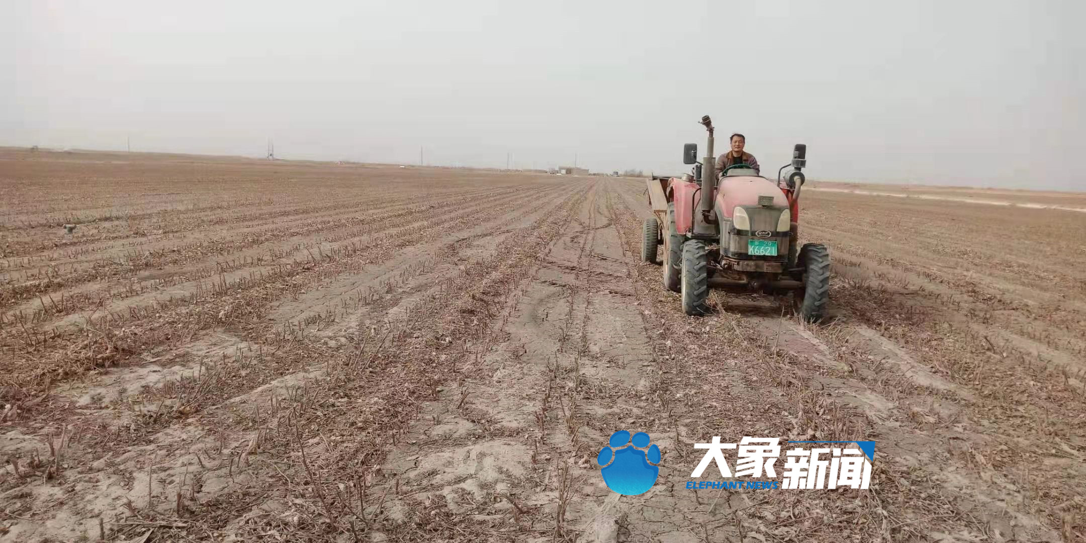 花开时节谁是采棉人｜跨越三千多公里的种棉人，用亲身经历还原赴疆采棉工的真实生活