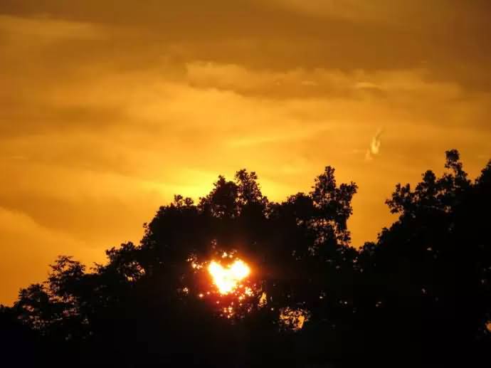 李叔同送别写作年代,送别李叔同原文写作时间