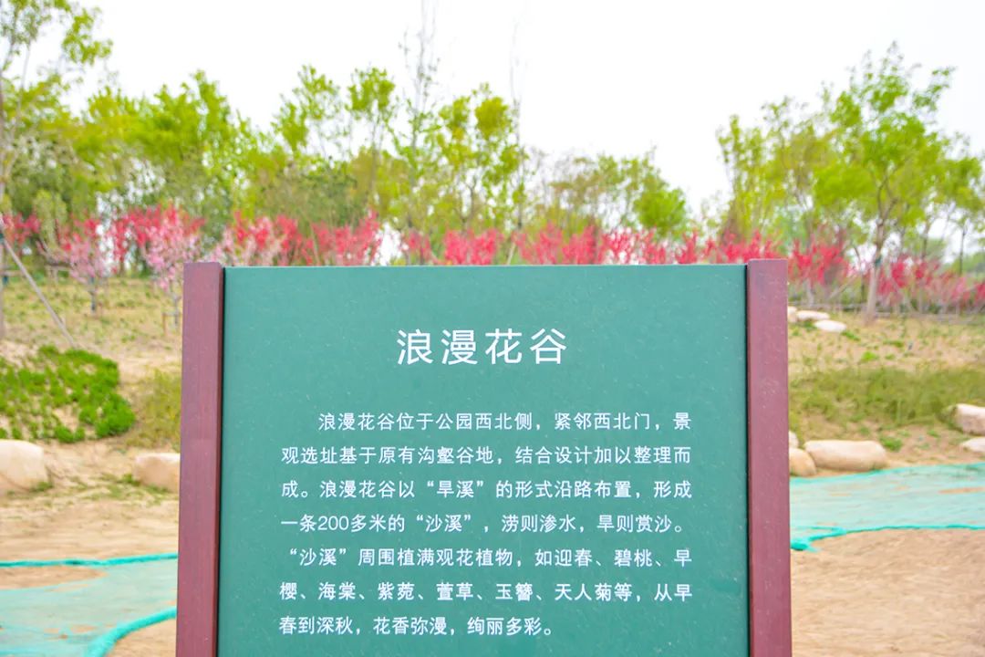 春意盎然北京五大公园,北京区级综合性公园