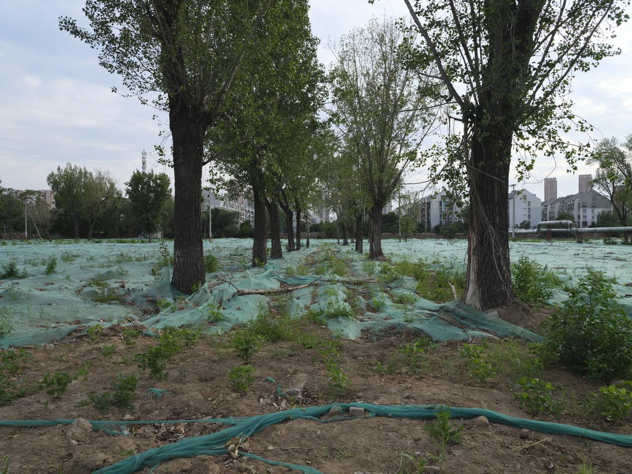 天津动力机厂下岗职工,天津动力机厂在哪