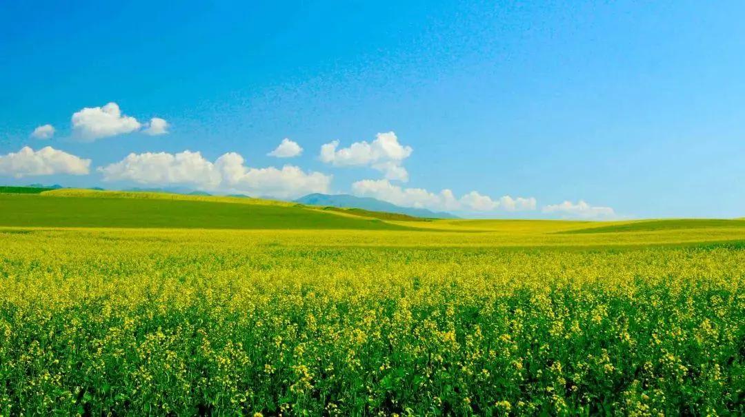 全部的成语收藏起来回家教给孩子,如何和孩子一起积累成语