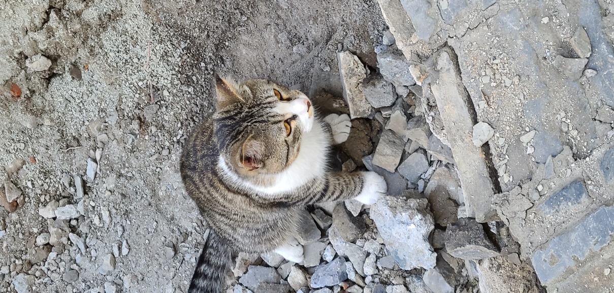 三星note9对比三星s20+测评,三星s20小杯换s24小杯