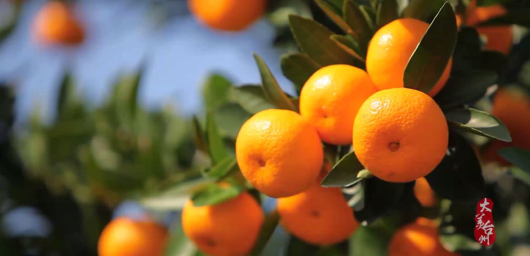 台州历史文化遗产,台州山海文化