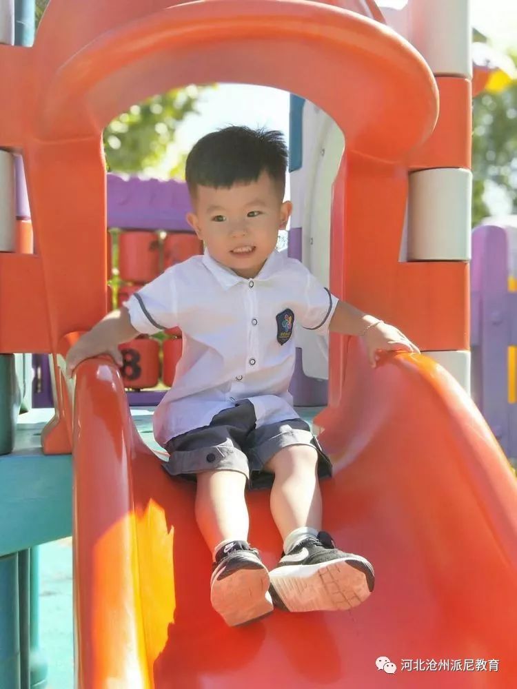 爱上幼儿园第一季全集,爱上幼儿园