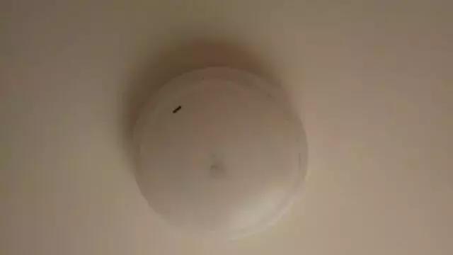 灯关了后一闪一闪的亮怎么修,灯关了一闪一闪故障解决方法