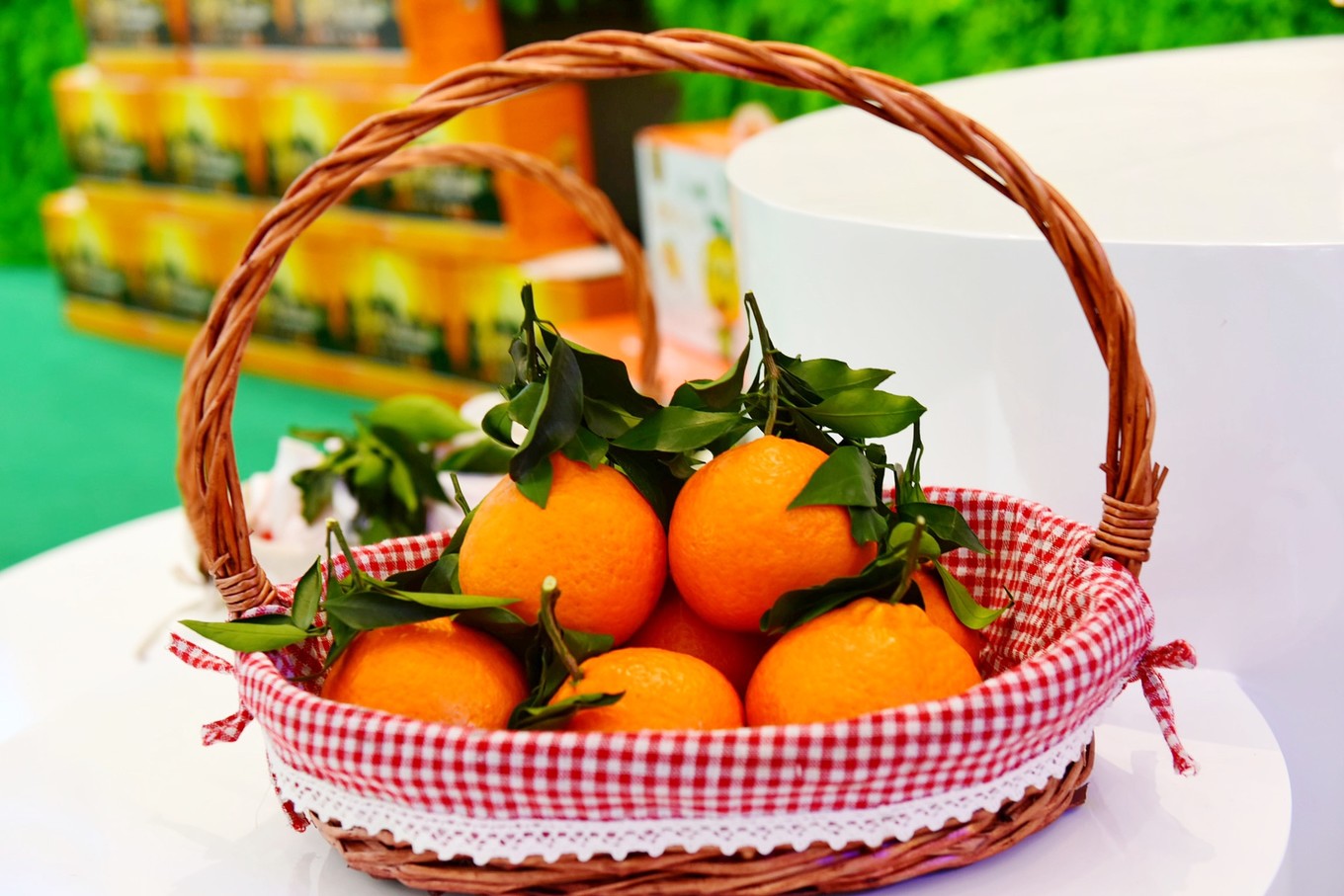 重庆市忠县柑橘园,柑橘之乡忠县