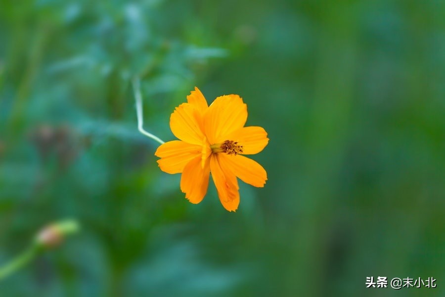不要轻易嫁给穷男人,嫁给一个穷的男人
