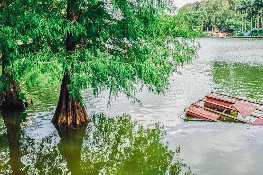 深圳银湖山游玩,深圳银湖有什么好玩的地方