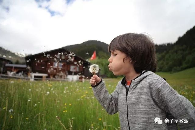 什么是早教包含什么,什么是早教有哪些内容