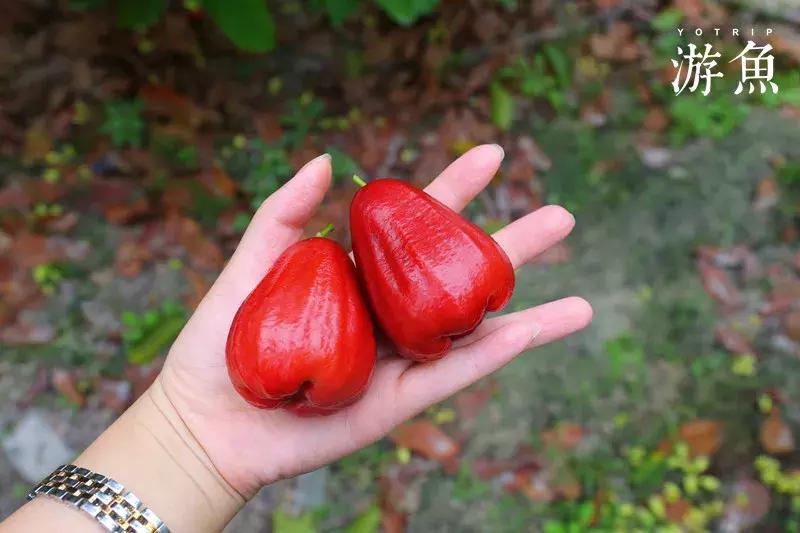 希尔顿兴隆湖,希尔顿酒店兴隆店