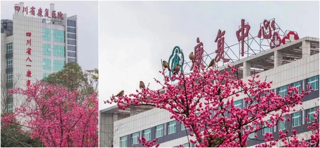 温江区幸福感城市,温江最美公园城市