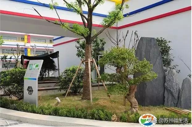 苏州翰林小学排名榜,苏州翰林小学好不好