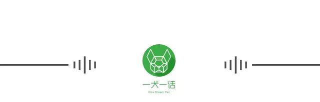 养猫可以治愈抑郁症吗,养猫真的能改善抑郁症吗