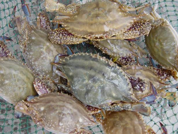 农村33岁小伙打破传统销售模式,莱州00后小伙创业初期