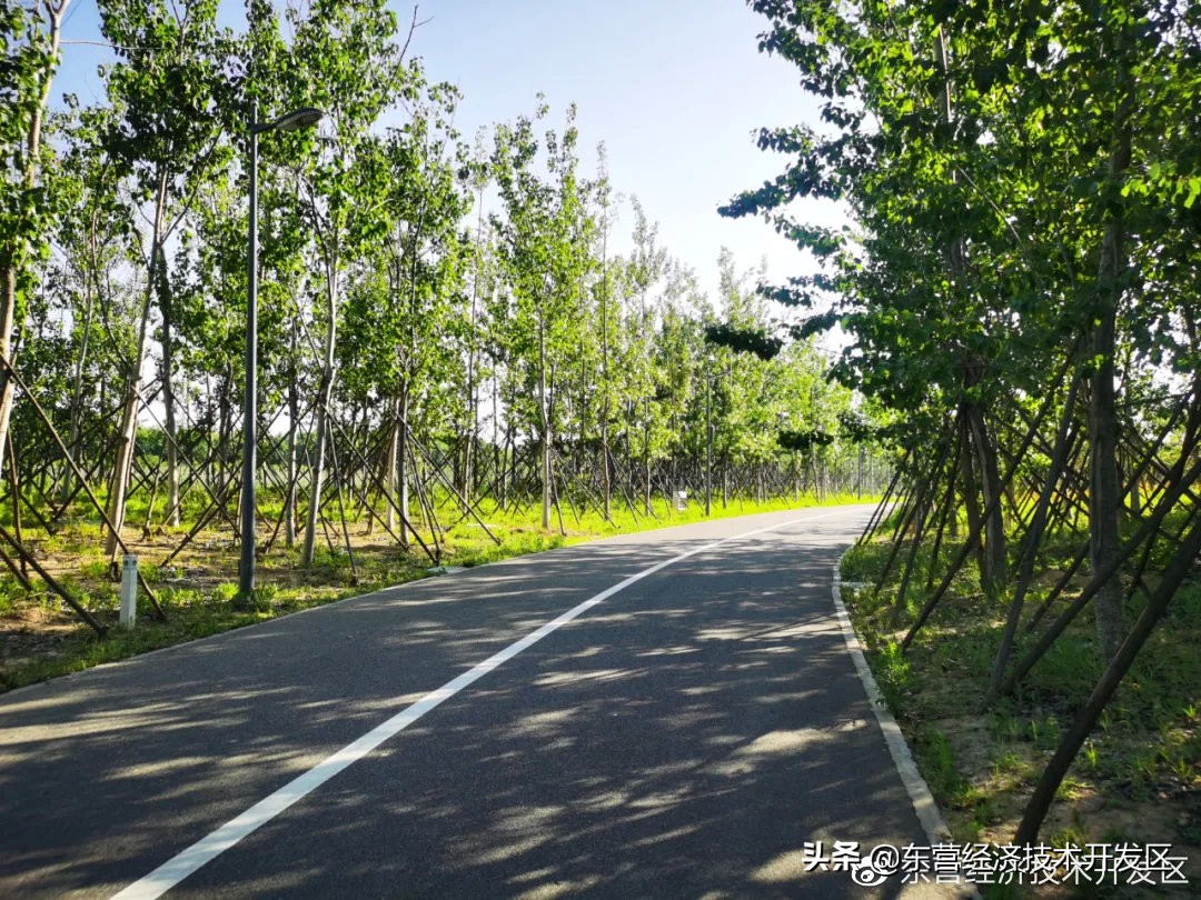 来开发区必去的地方,开发区秋季美好的风景