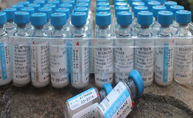 怀孕八个月被狗碰流产,怀孕七个月被狗咬了打了狂犬疫苗