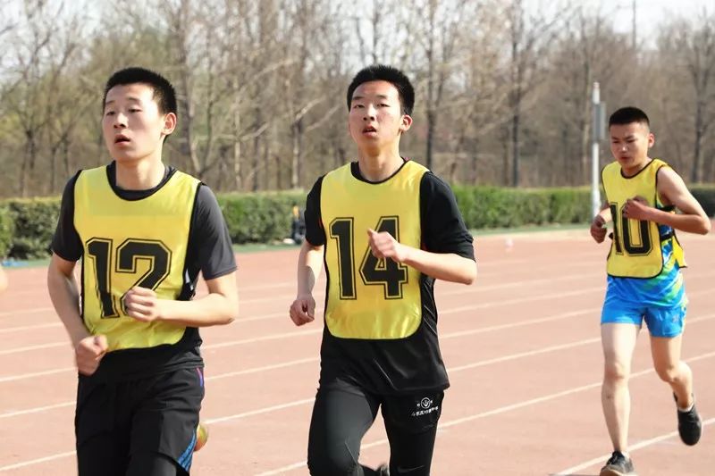 连破四项纪录!高新区中小学生田径运动会精中健儿成绩斐然