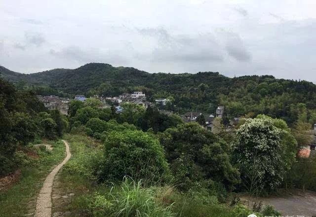 澶х編鑼跺北鏅尯,澶х編鑼跺北缇庢櫙