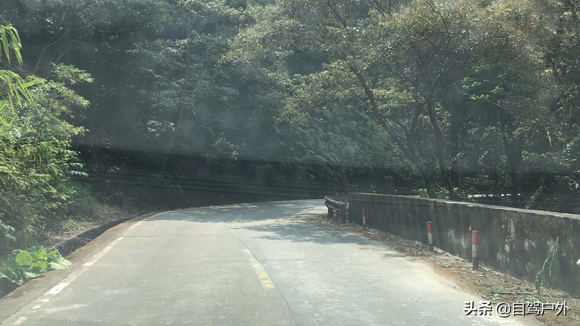 惠州明月山庄露营,罗浮山休闲竹林露营地