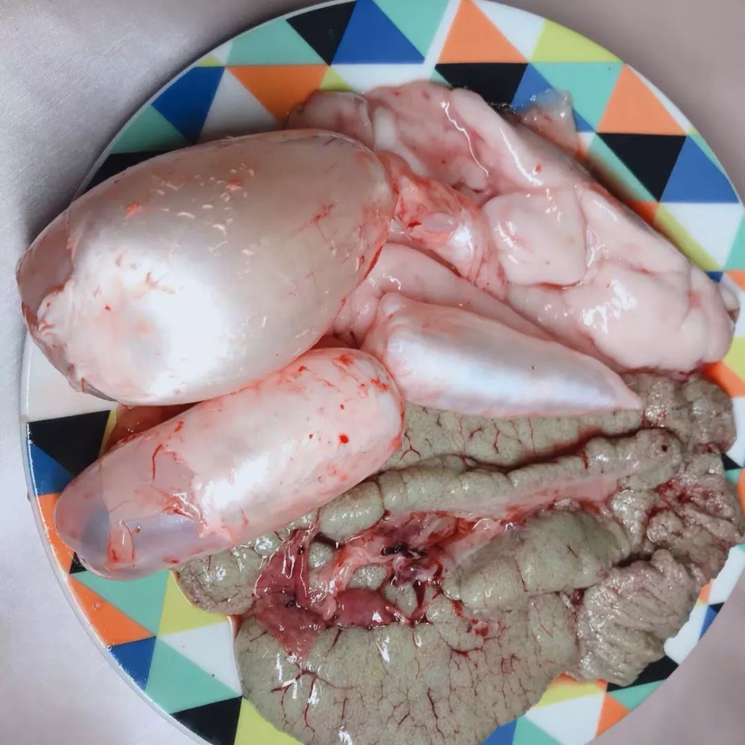 怎么用垃圾养君子兰,垃圾养君子兰的方法