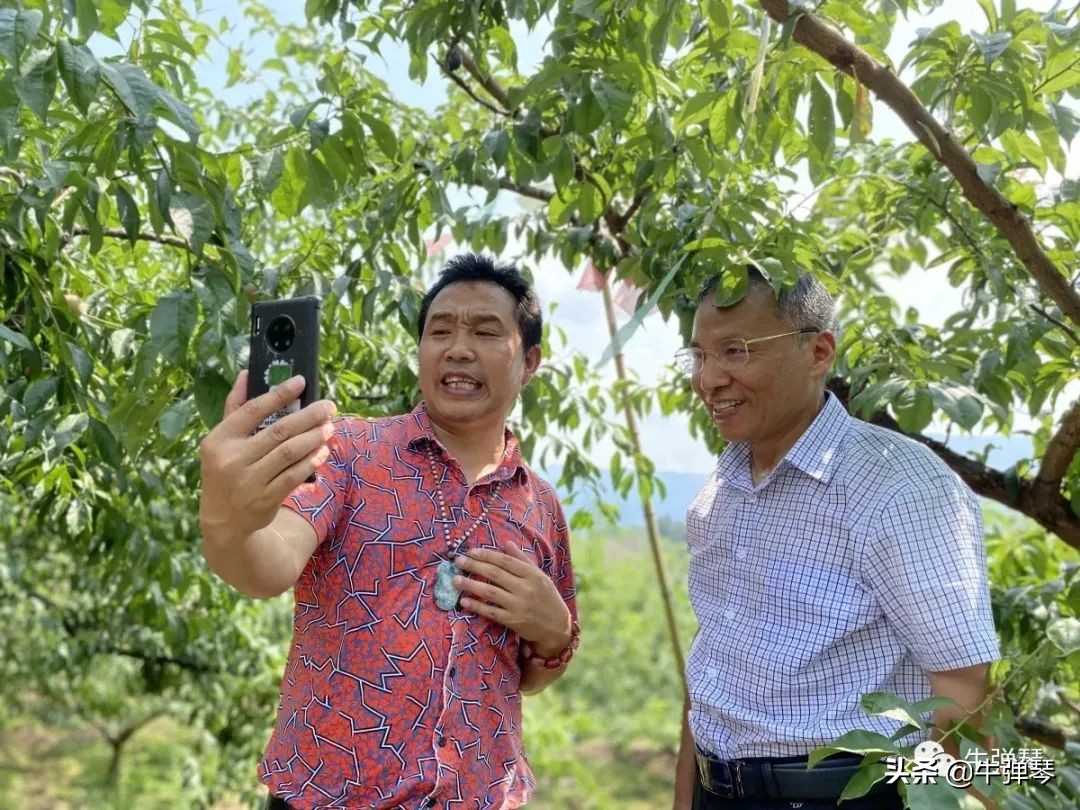 为什么日本的西瓜200元一个,日本西瓜真的算贵吗