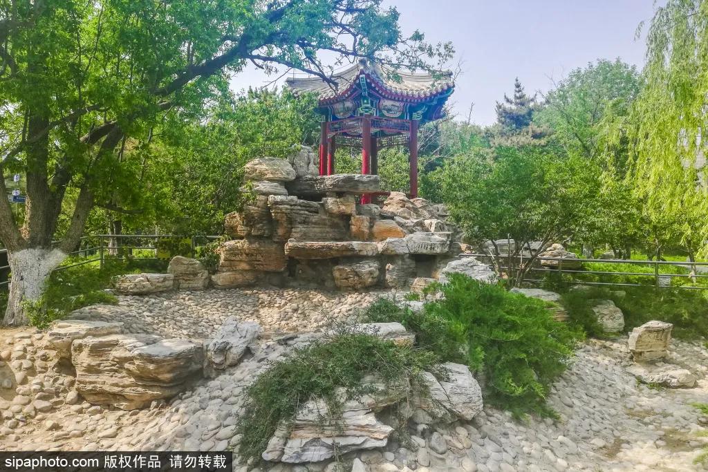 紫色花海免费版,紫色花海免费