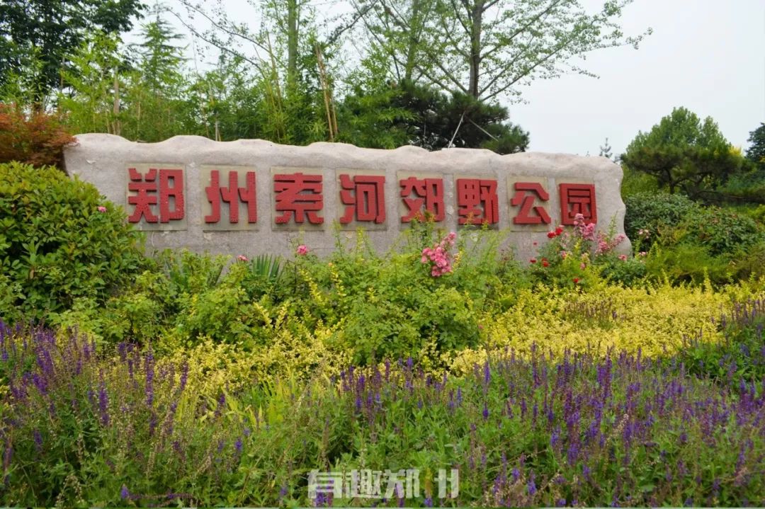 郑州元旦有啥好玩的,元旦快乐有惊喜