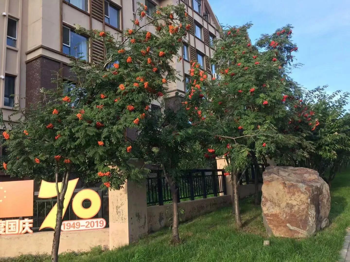 告别白河镇，来到松江河（44）