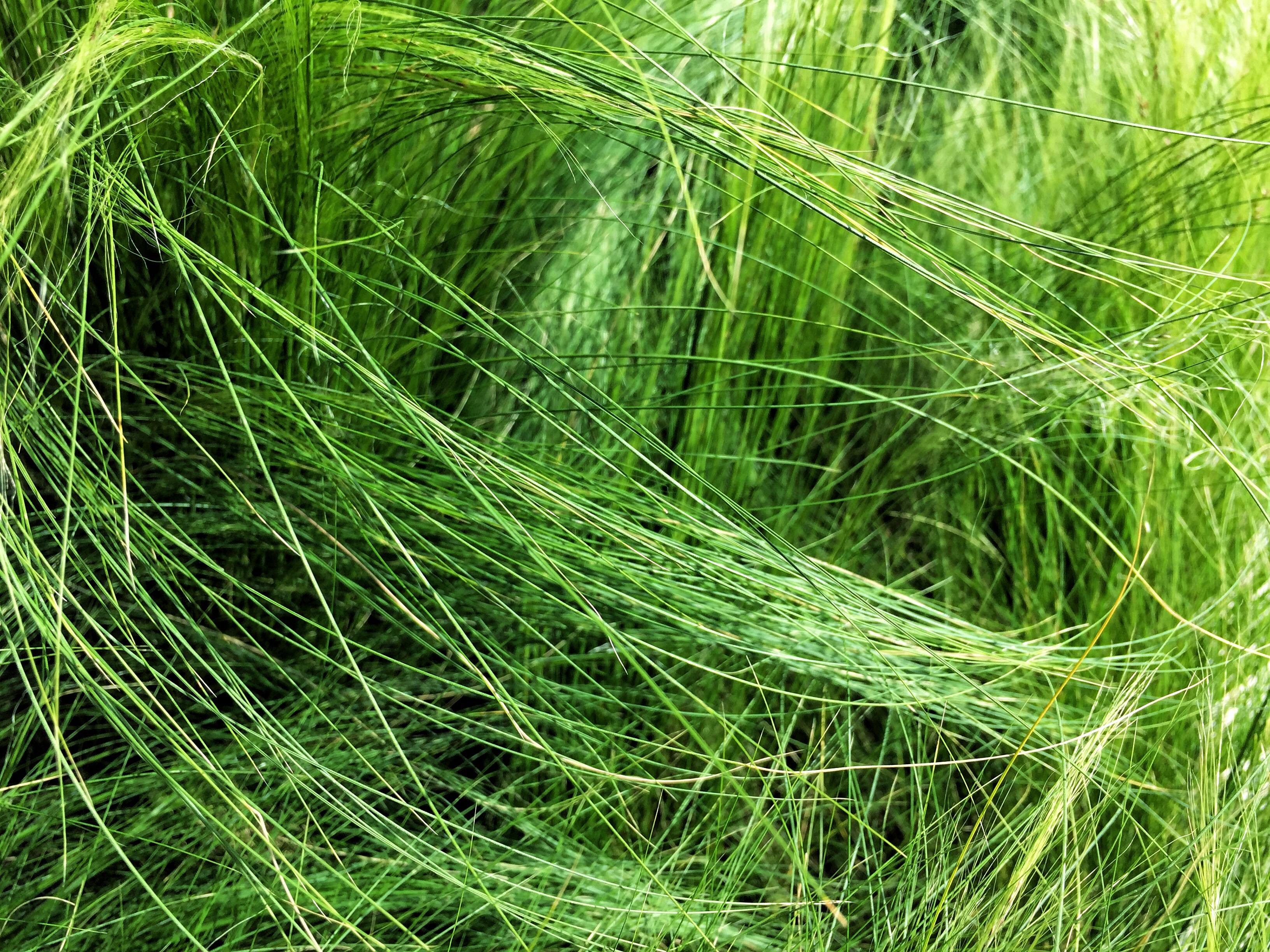 什么是拍照构图,什么是拍照