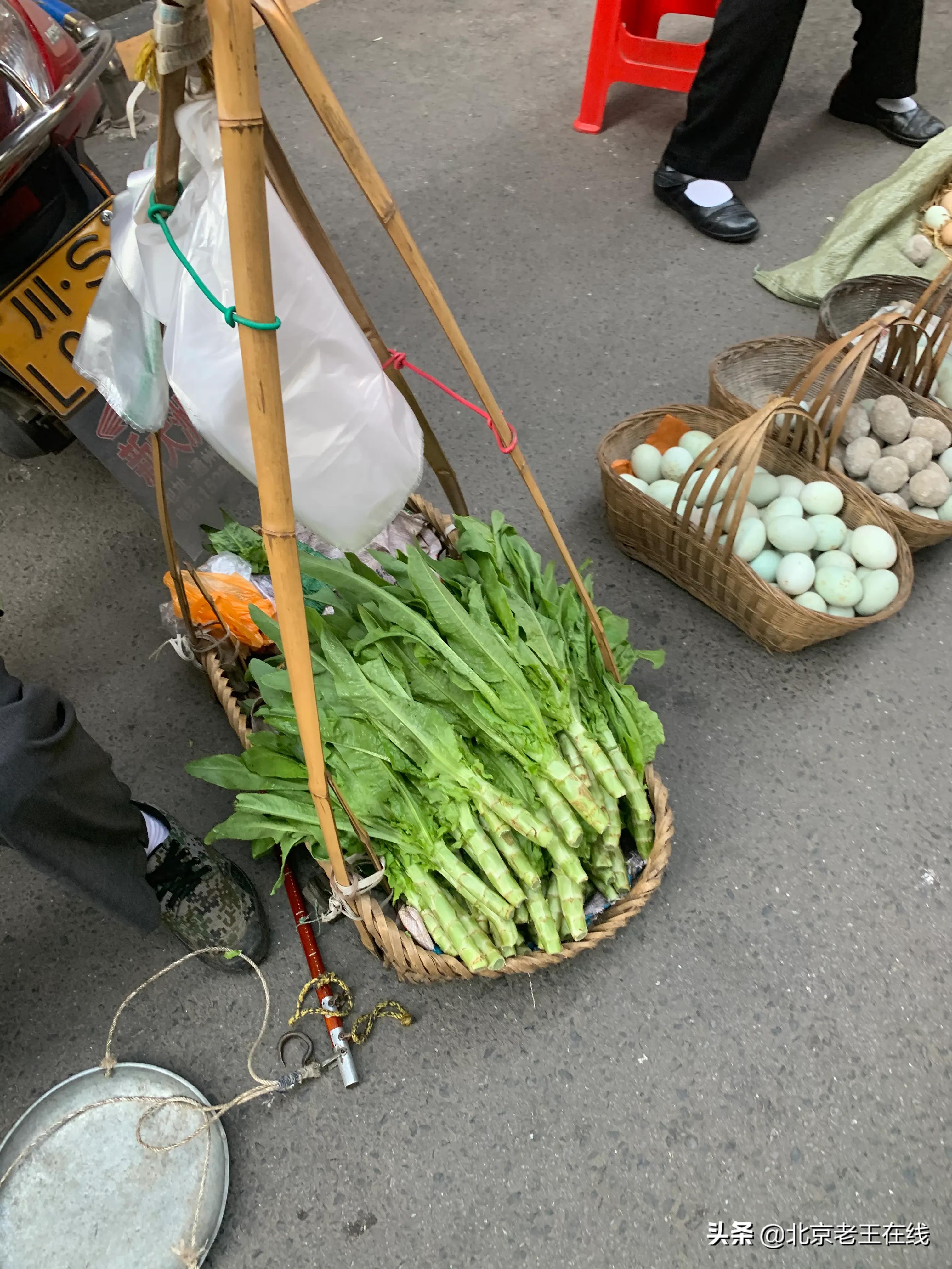 川渝之旅第三站,川渝之行感悟