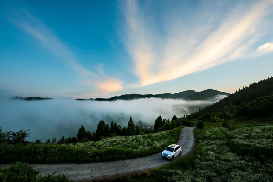 康养之城,康养之城图