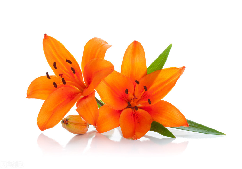 同样只活在自己的世界里,熊磊、丁红、素老三,人生如此不同