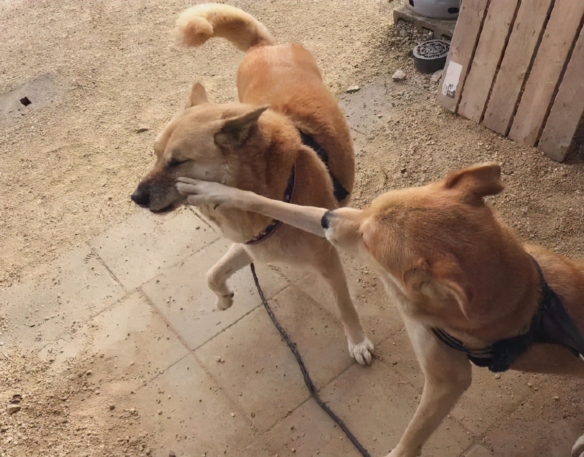 考清华北大其实很简单,有没有谁考清华北大很容易的